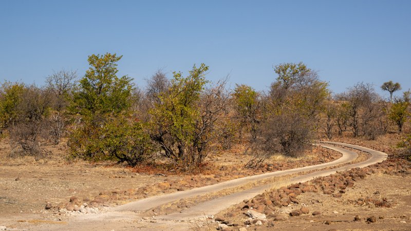 Mashatu Game Reserve, Botswana