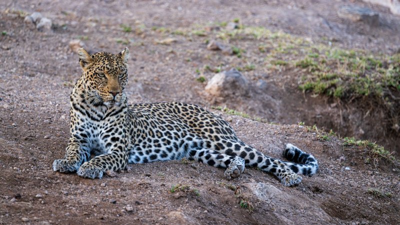 Mashatu Game Reserve, Botswana
