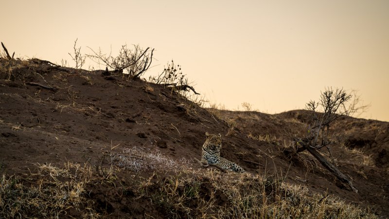 Mashatu Game Reserve, Botswana