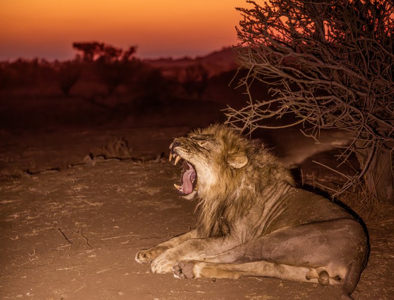 Mashatu Game Reserve, Botswana