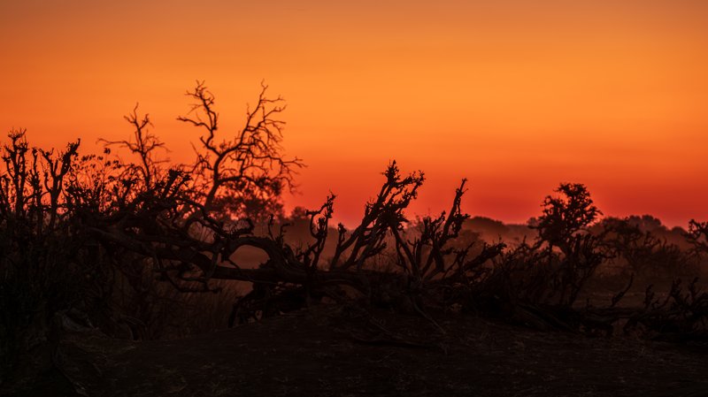 Mashatu Game Reserve, Botswana