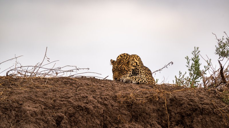 Mashatu Game Reserve, Botswana