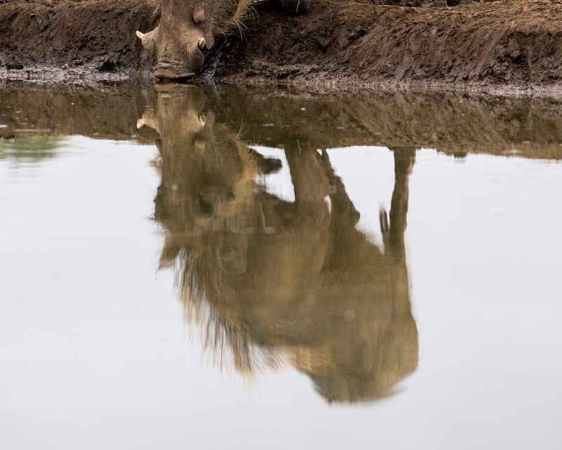 Mashatu Game Reserve, Botswana