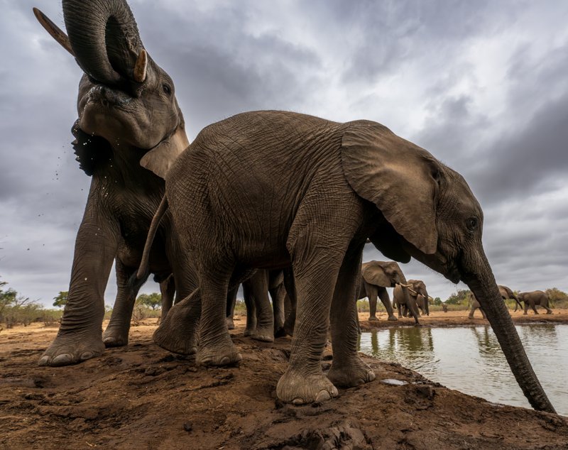 Mashatu Game Reserve, Botswana