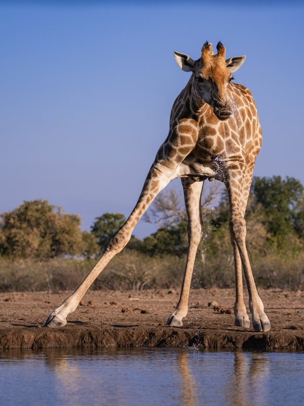 Mashatu Game Reserve, Botswana