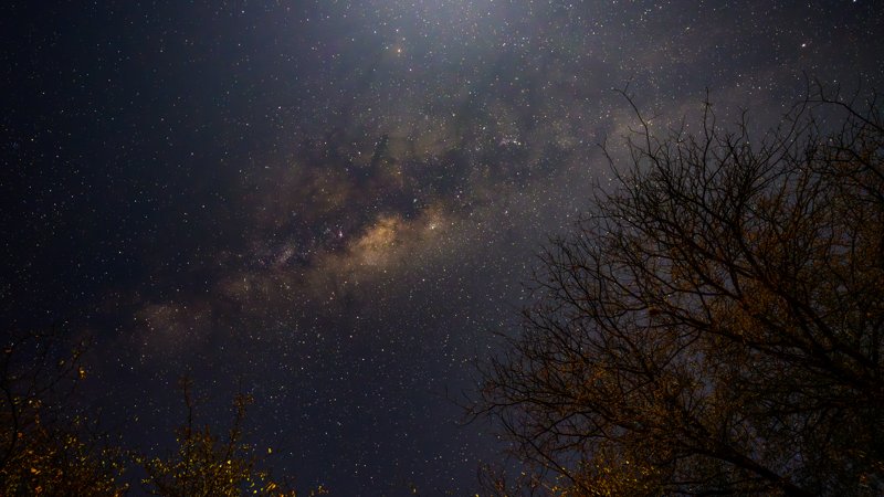 Mashatu Game Reserve, Botswana