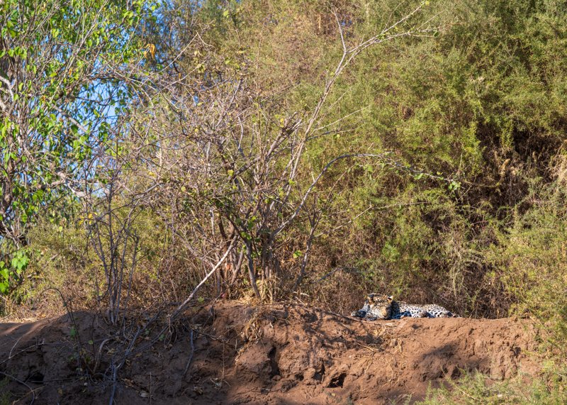 Mashatu Game Reserve, Botswana