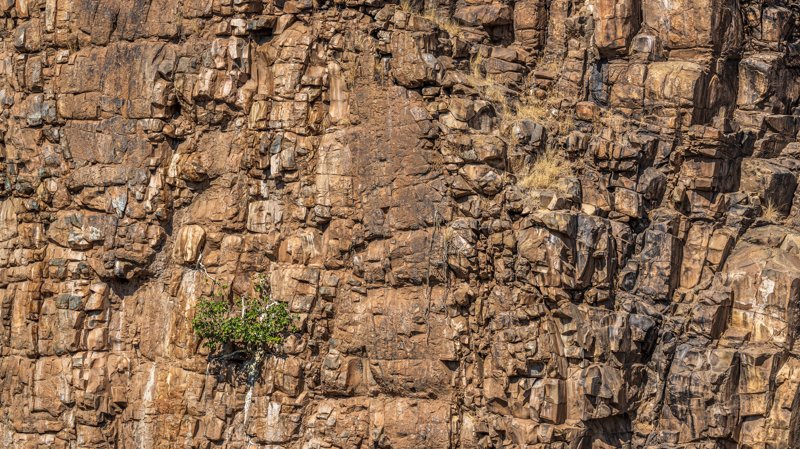 Mashatu Game Reserve, Botswana
