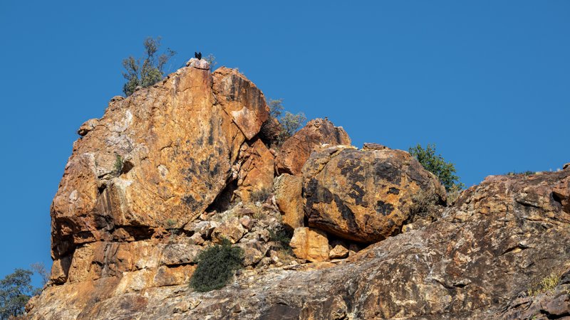 Mashatu Game Reserve, Botswana