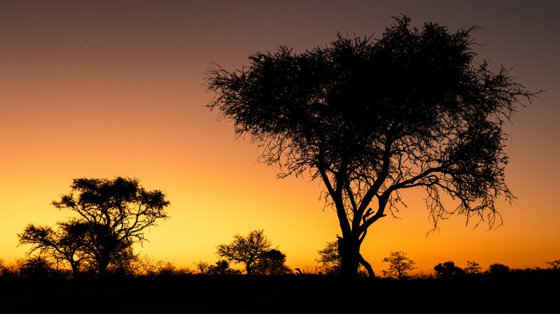 Mashatu Game Reserve, Botswana