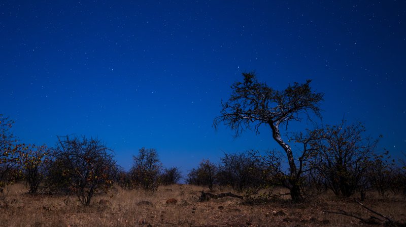 Mashatu Game Reserve, Botswana