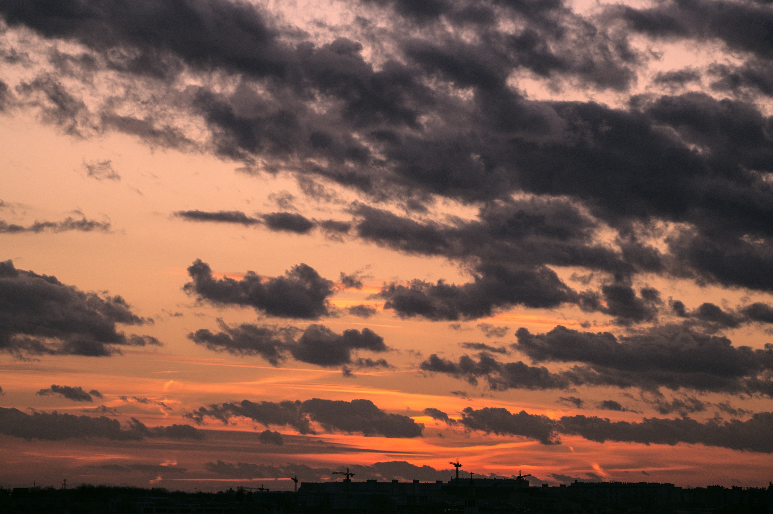 20200311_175704_D850_3295
