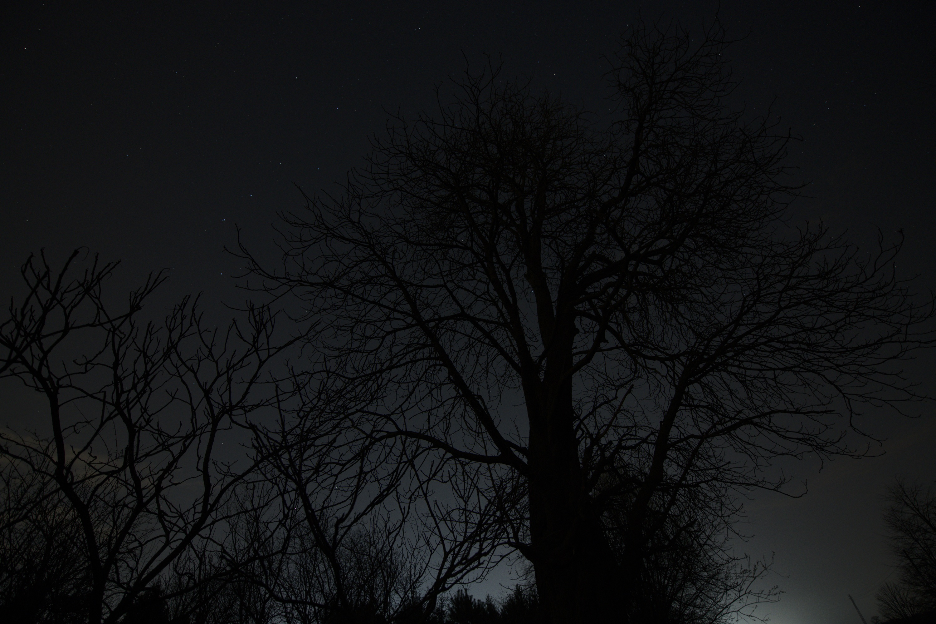 20200316_204340_D850_3343