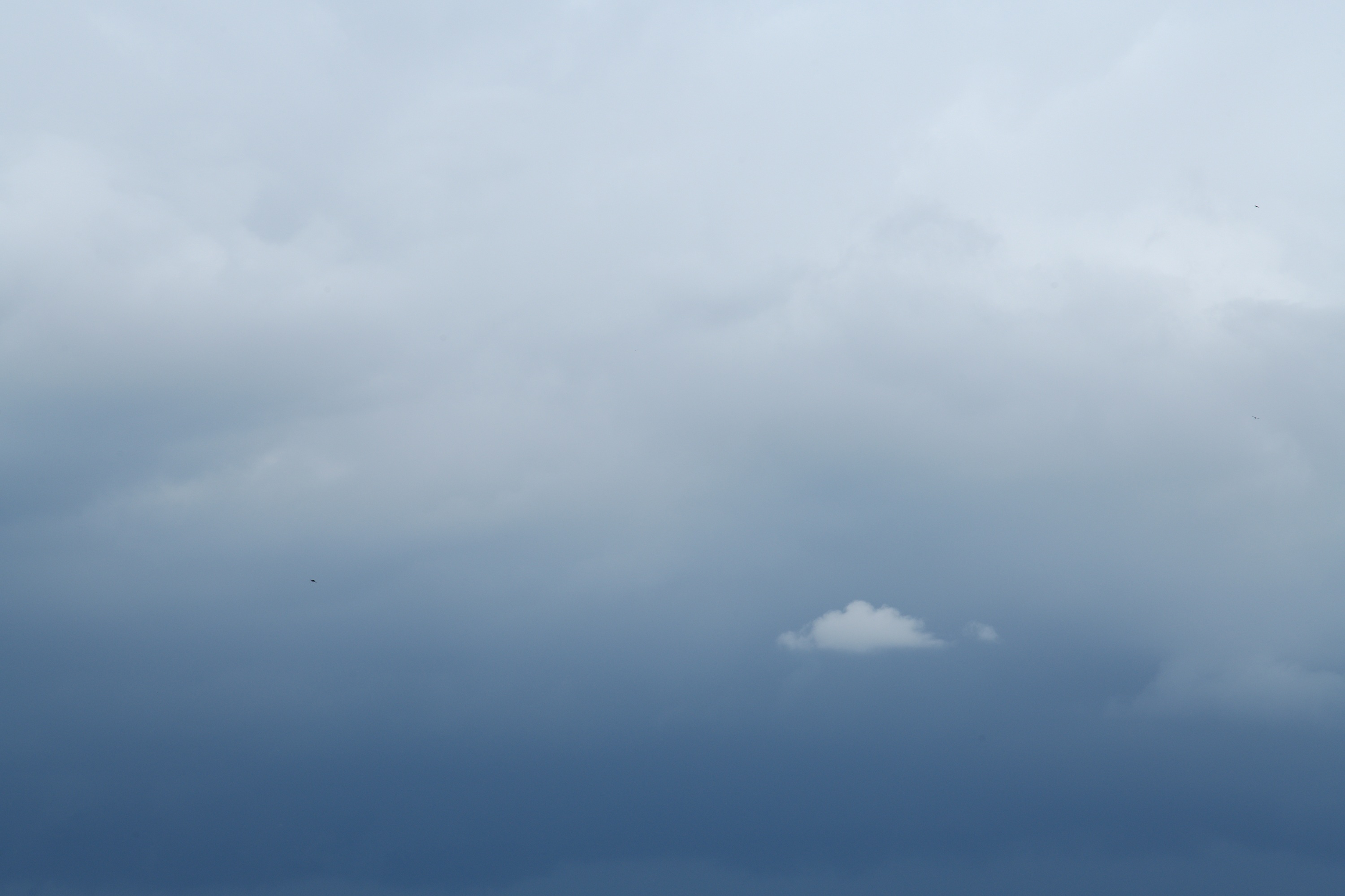 20200524_145213_D850_3850