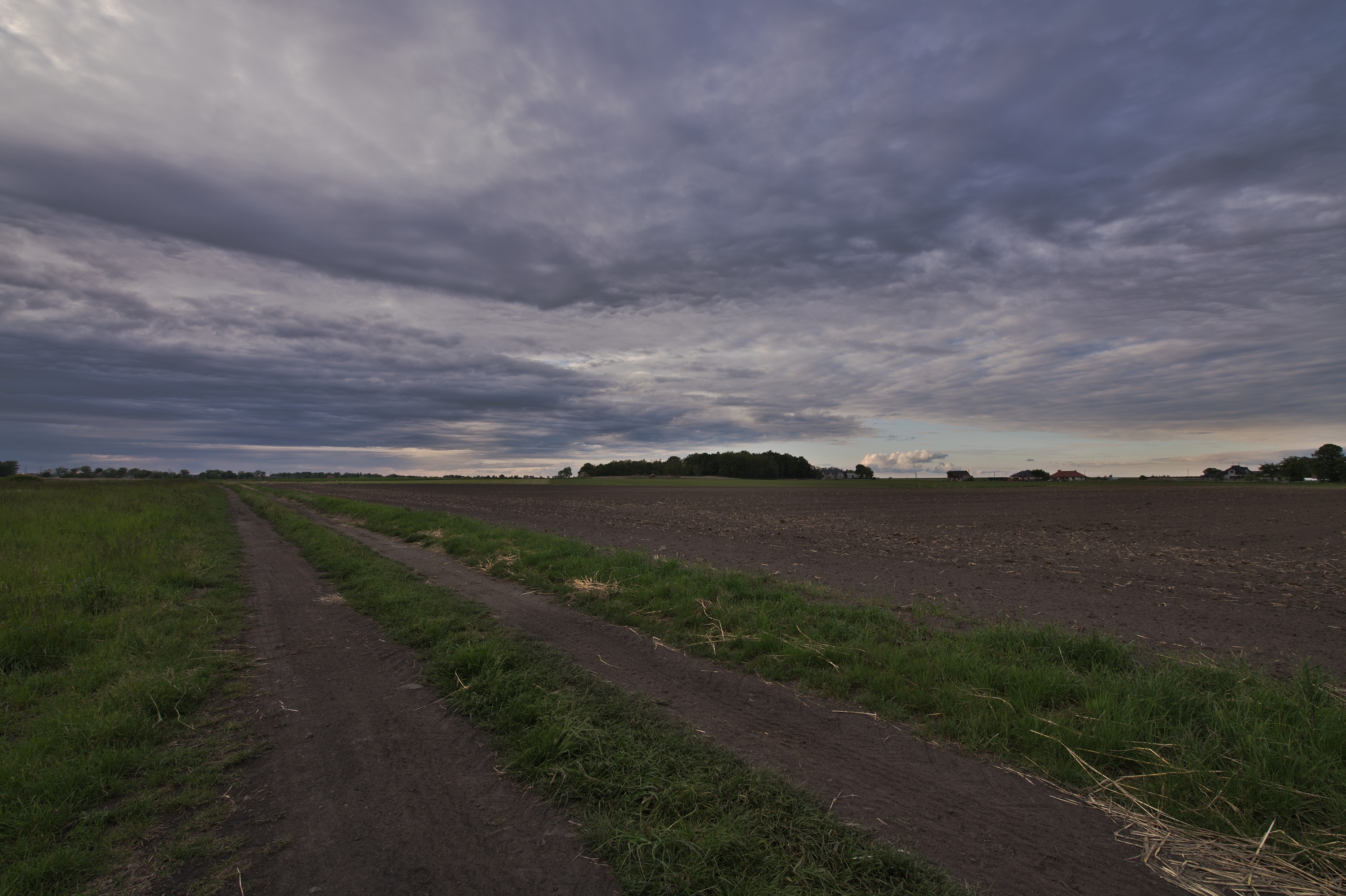 20200528_183050_D850_3978
