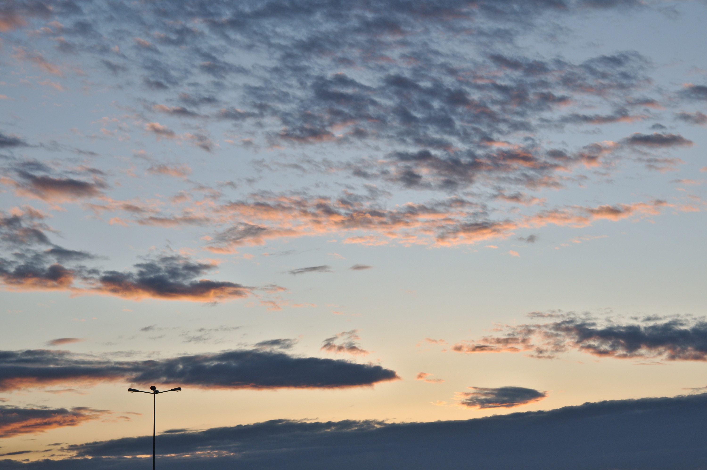 20200528_195233_D850_4103