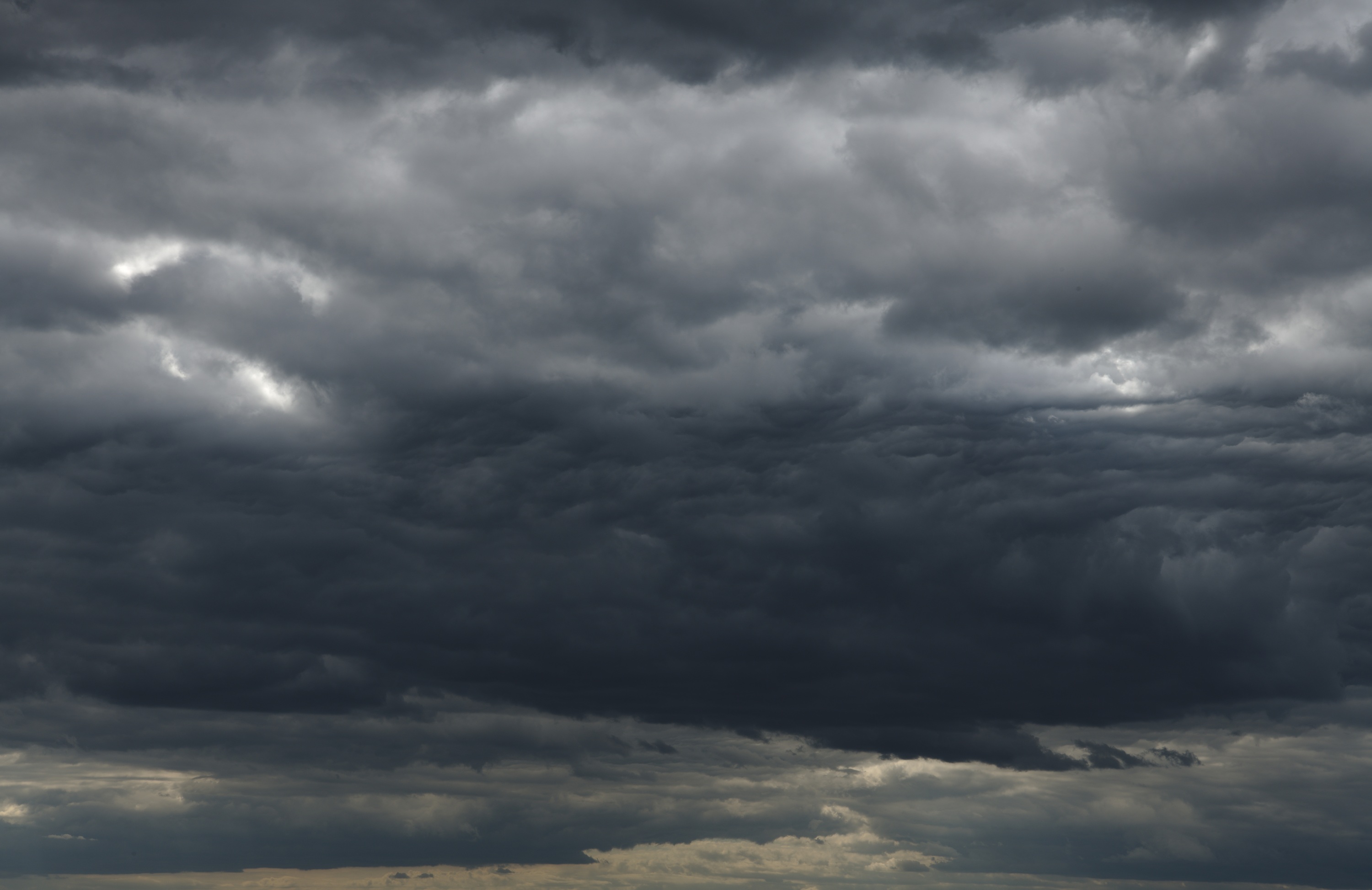 20200529_145827_D850_4162