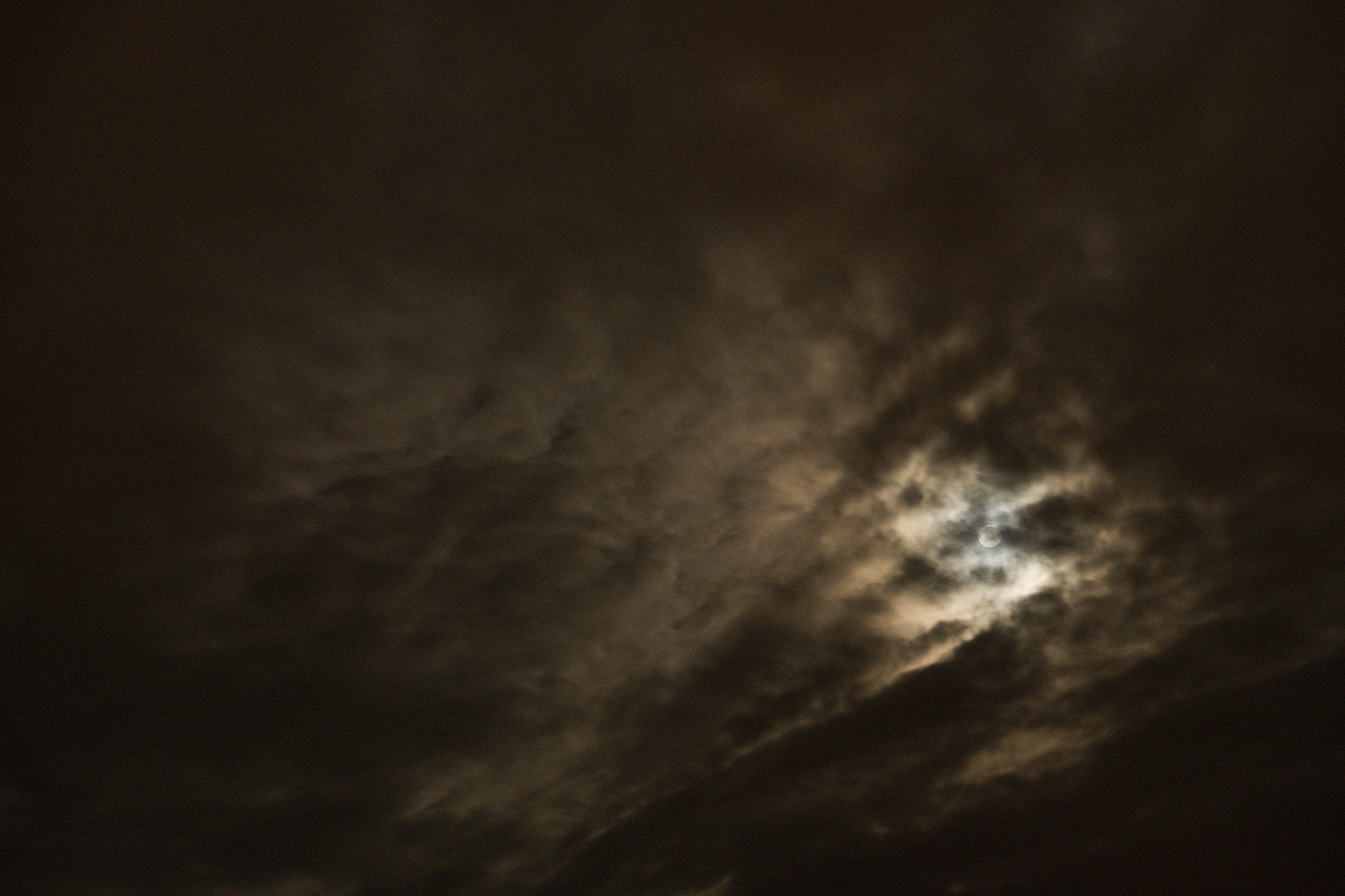 20200605_235712_D850_4803