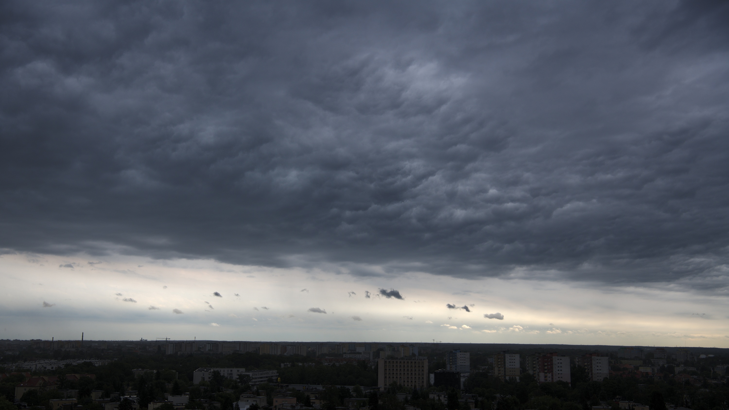 20200822_135216_D850_4895