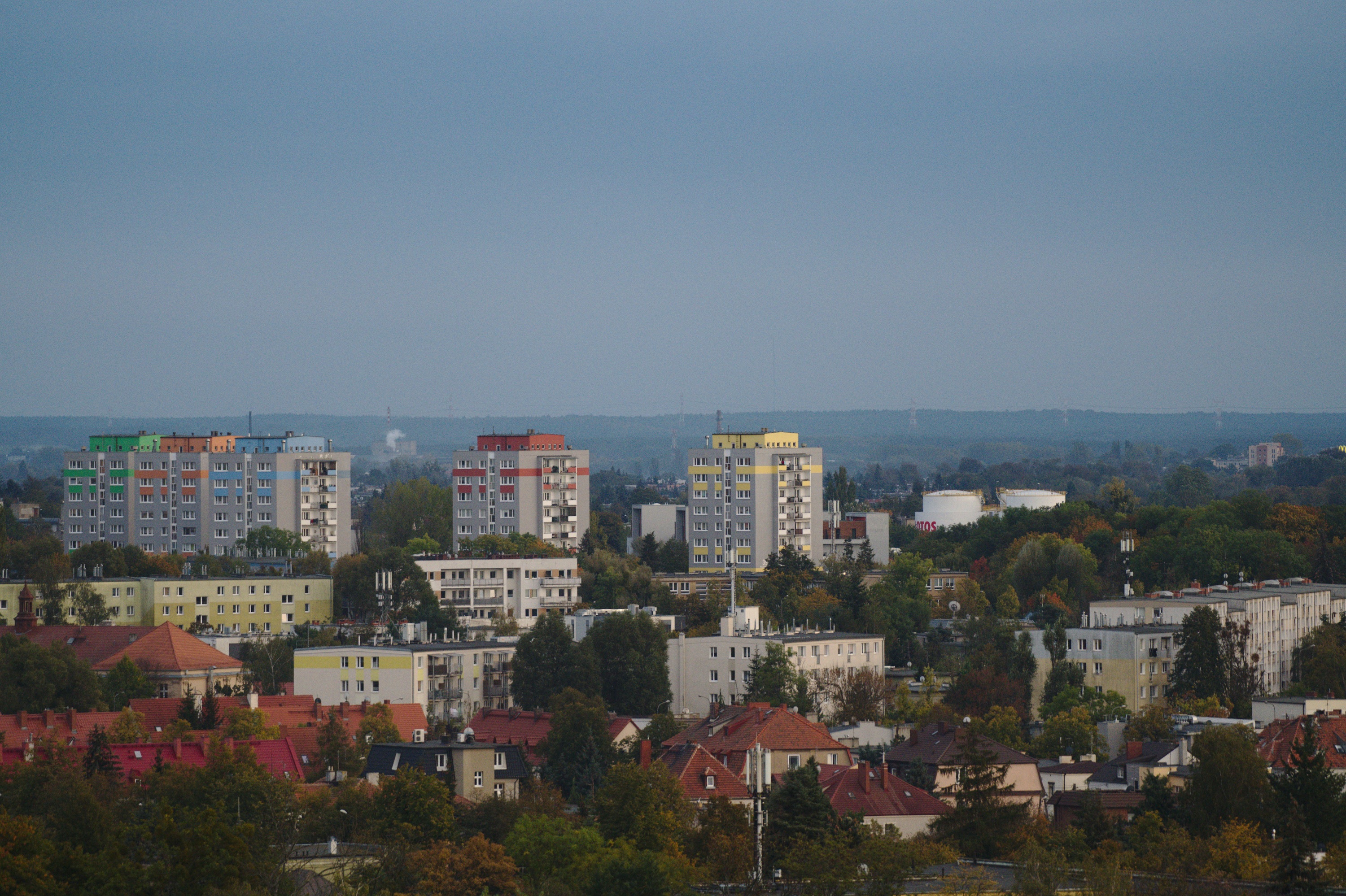 20201017_172249_D850_9828