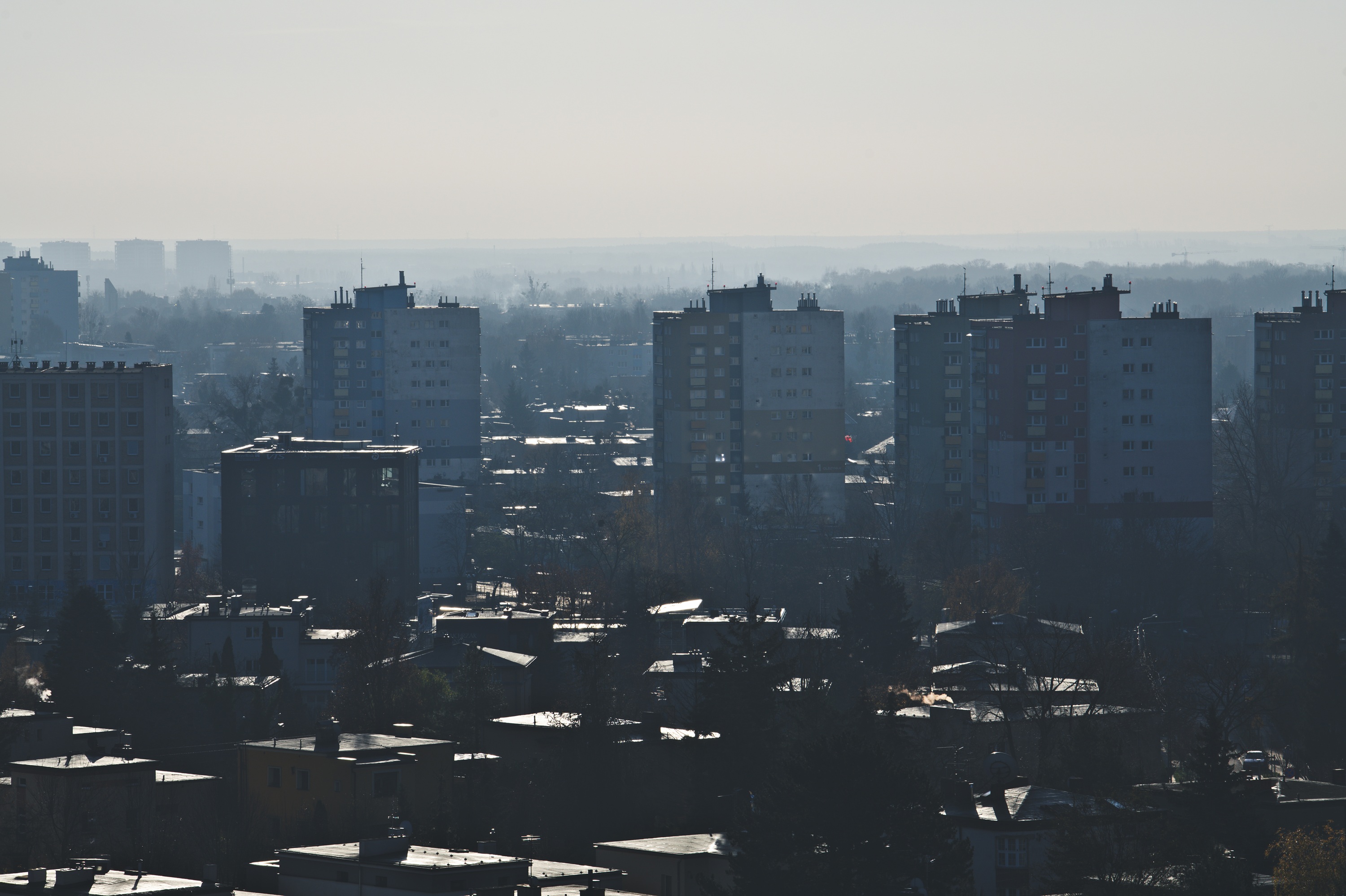 20201124_103954_D850_0788