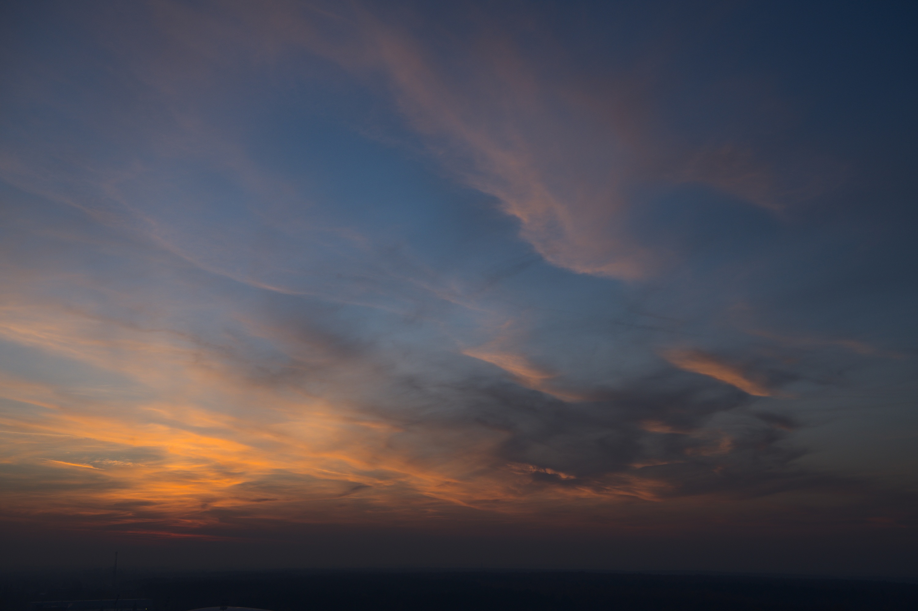 20211111_170332_D850_2884