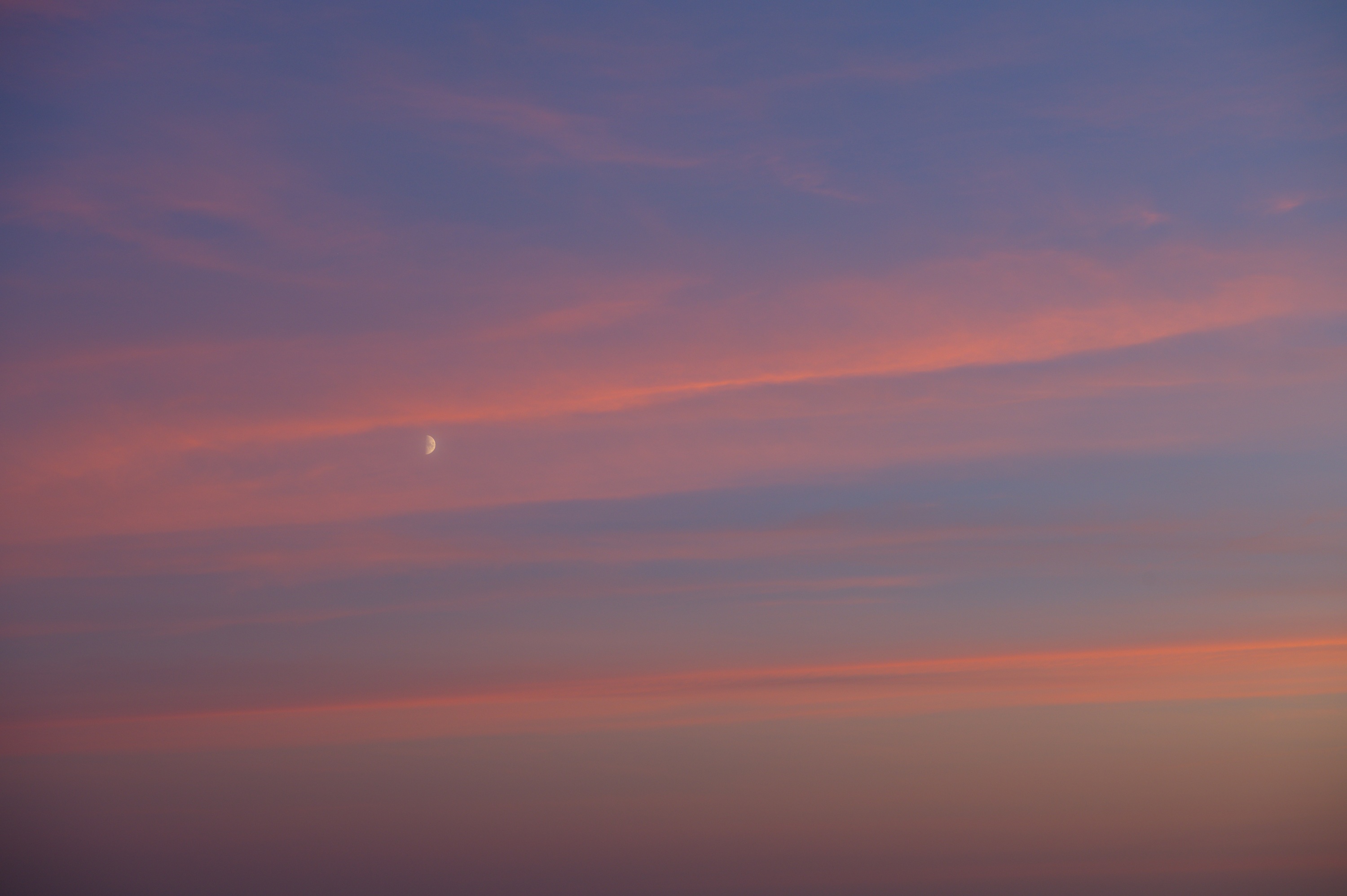 20211111_170812_D850_2886