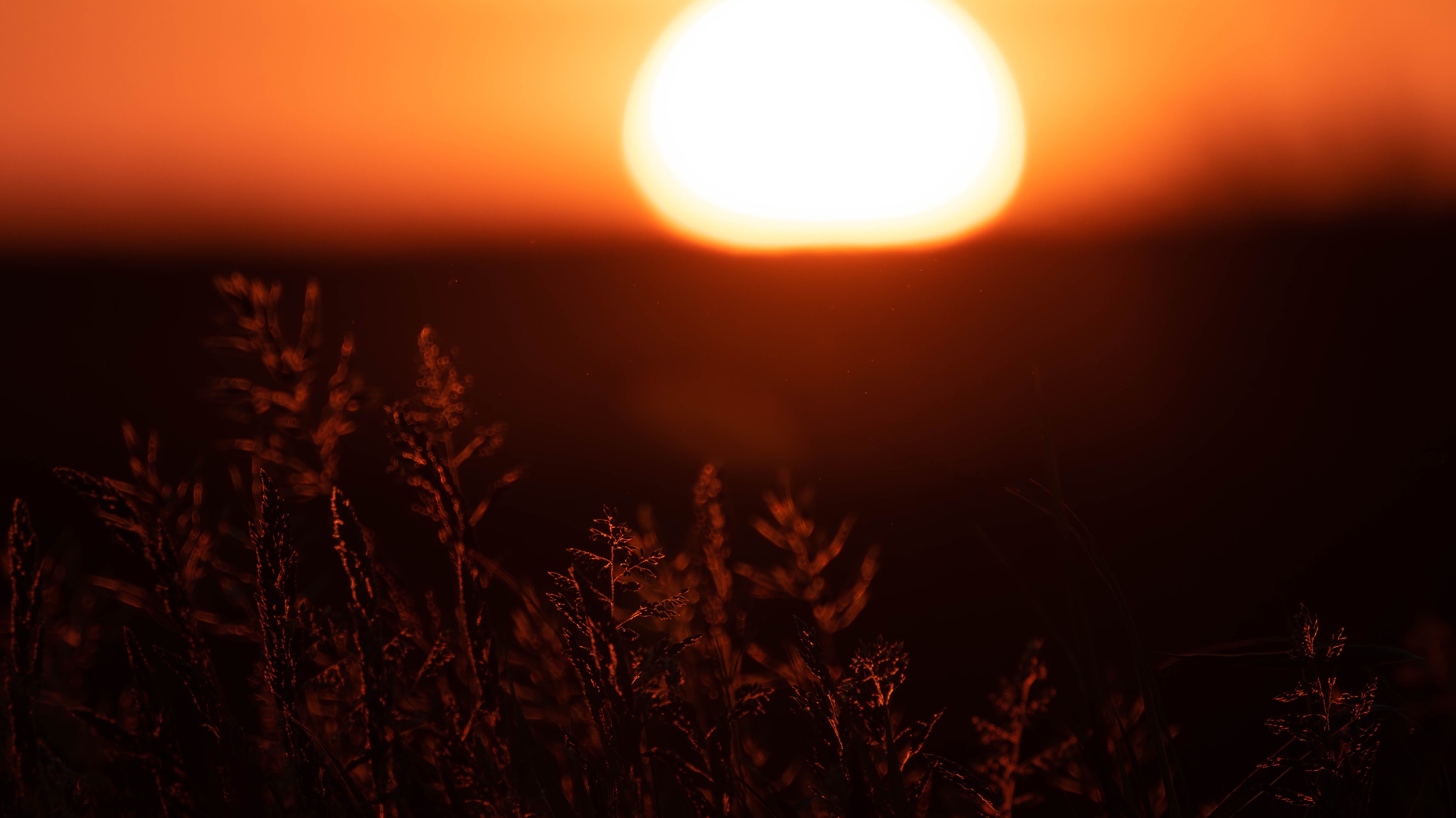 20230603_211845_Z8_2792