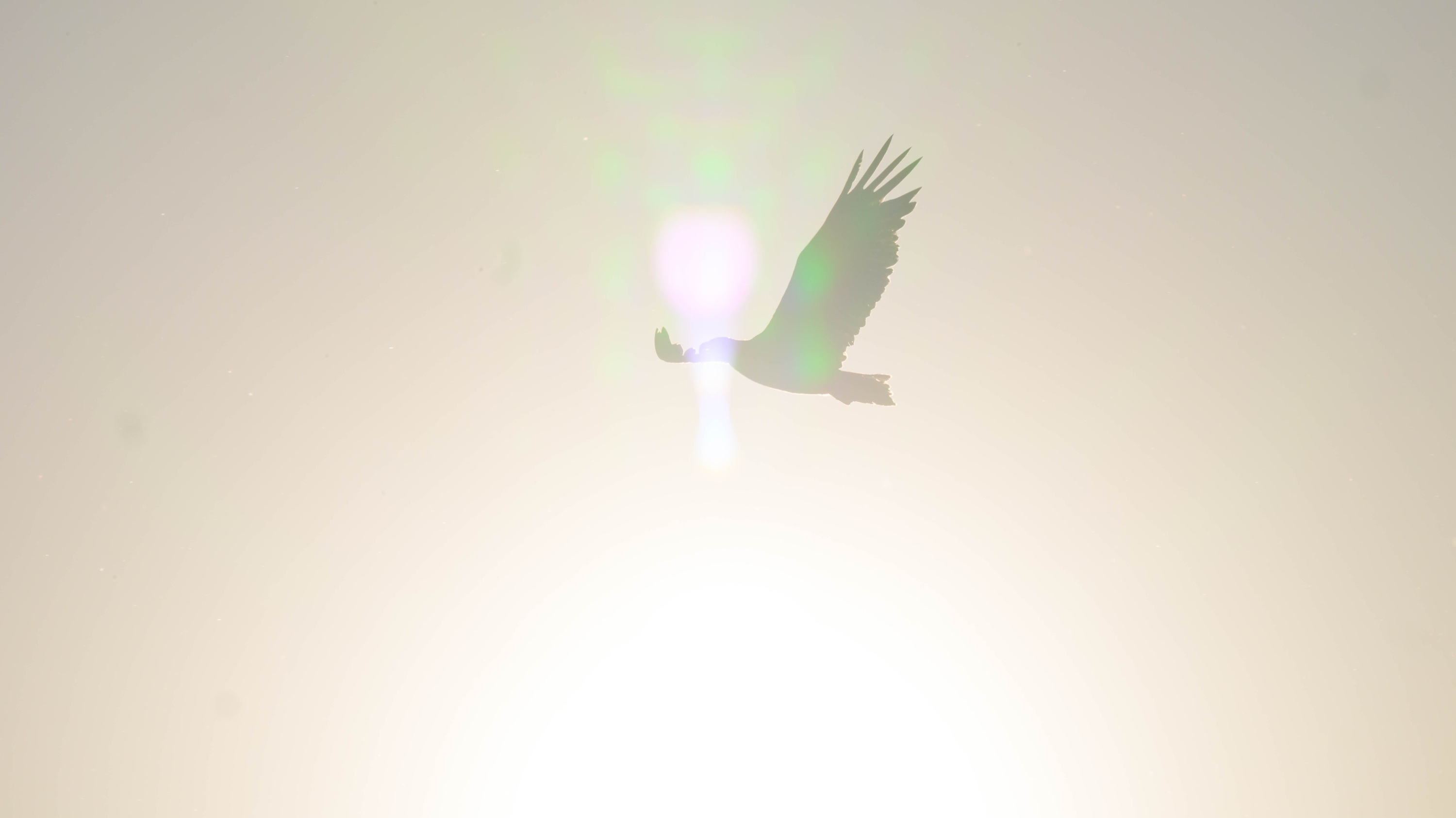 20230604_060226_Z8_3025
