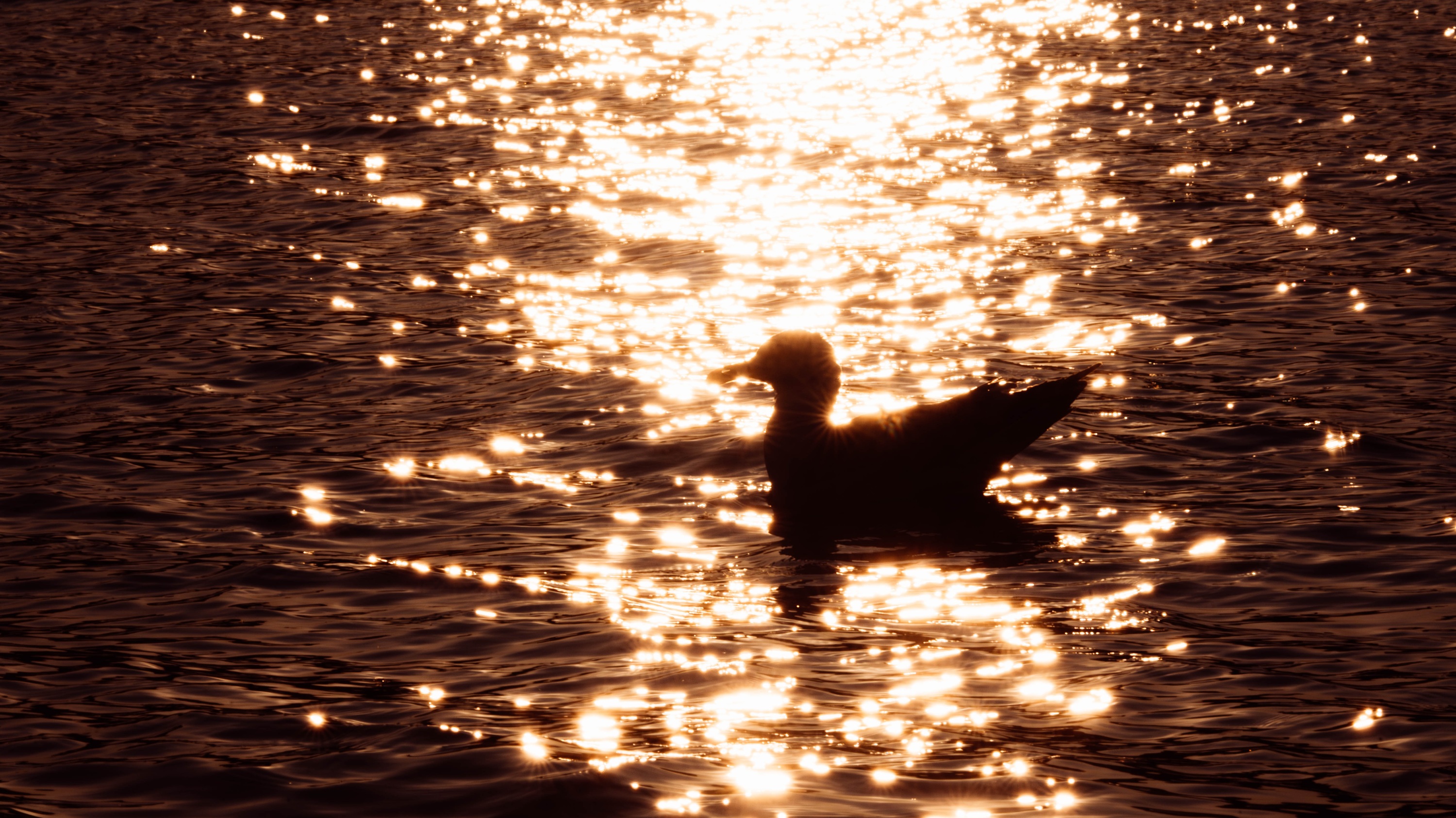 20230604_201903_Z9_0598