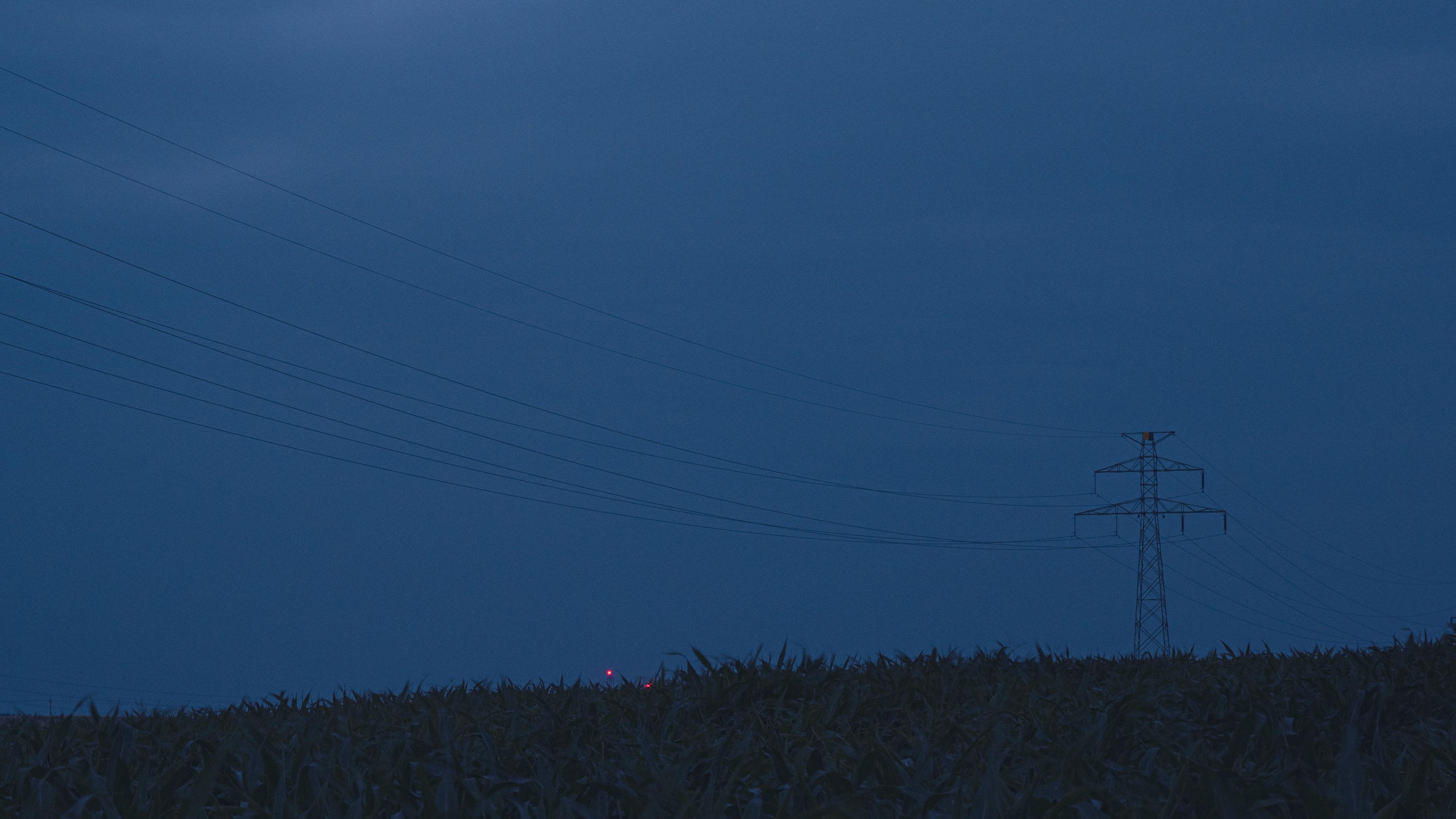 20230623_042247_Z9_3261