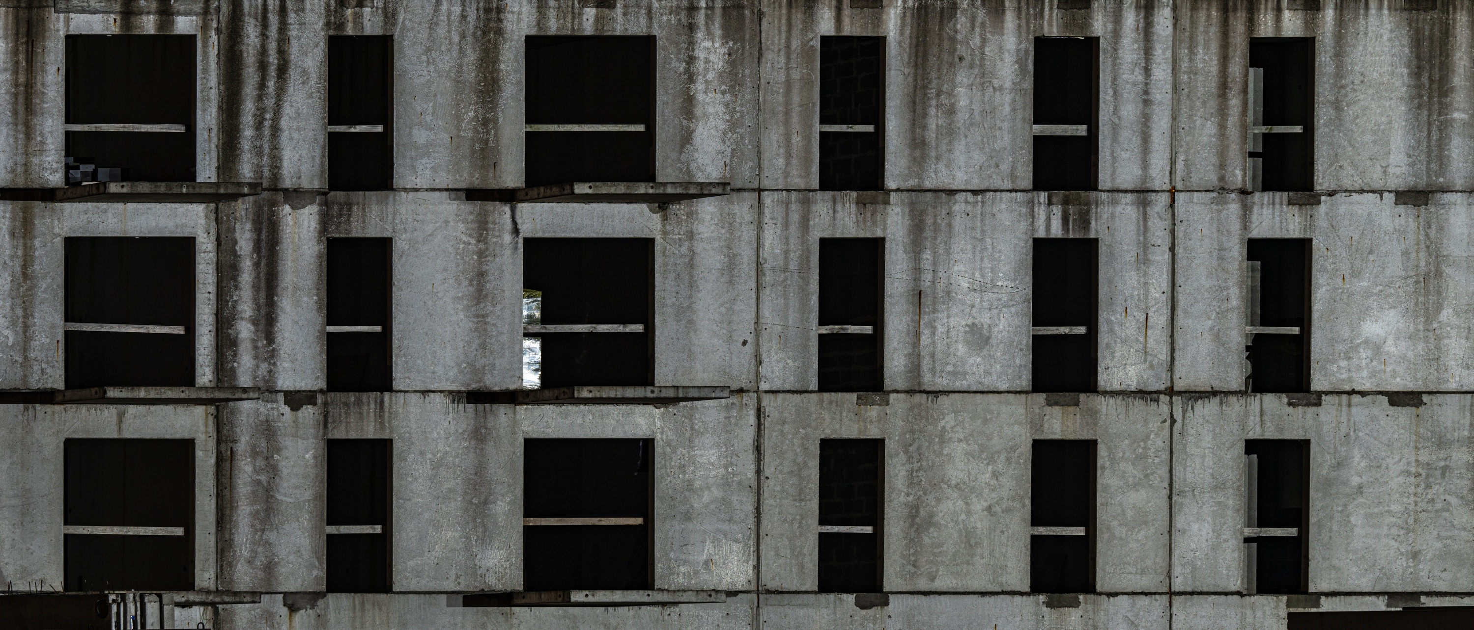 20231017_233736_Z8_4239