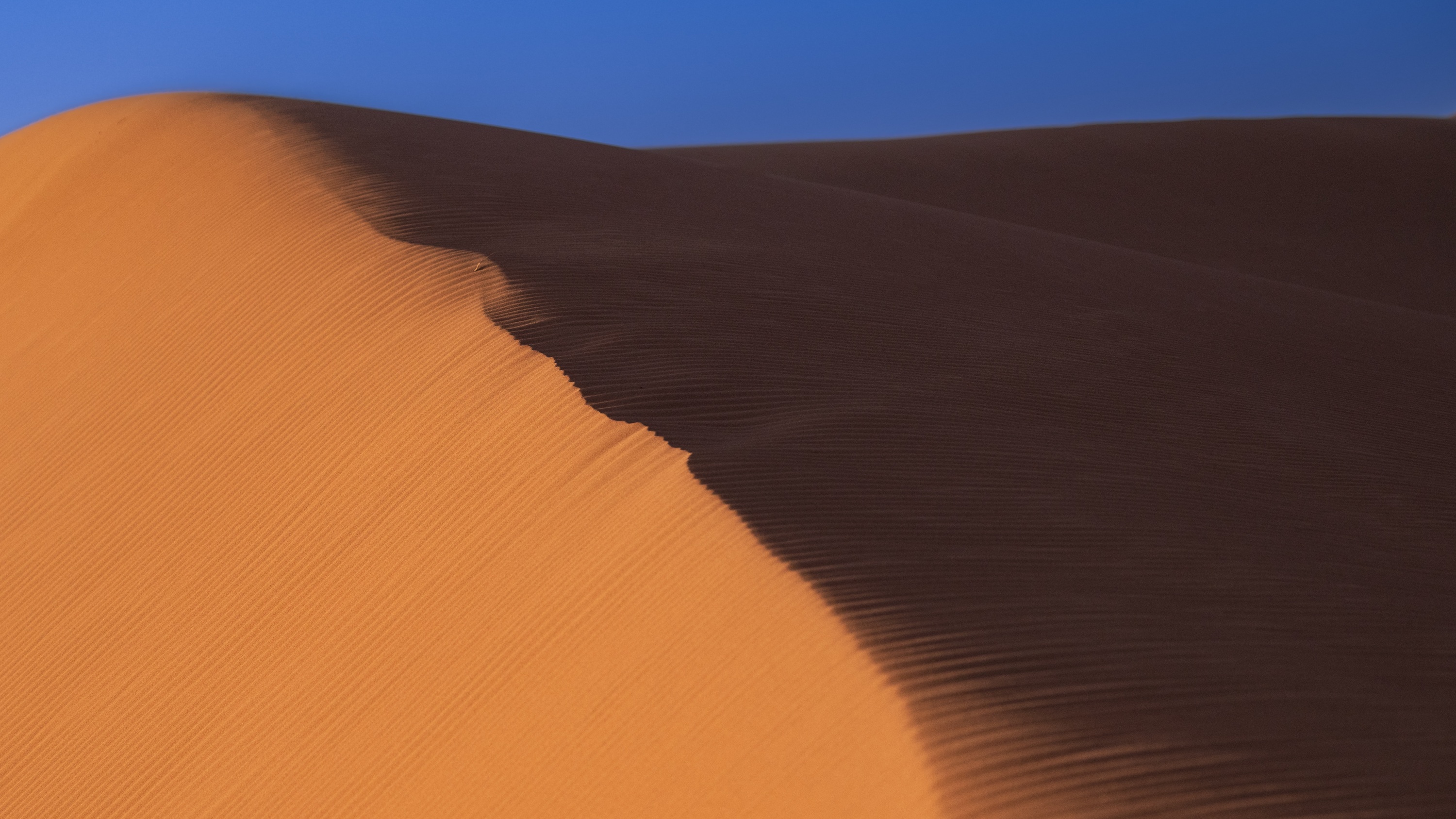20231122_183650_Z8_1039