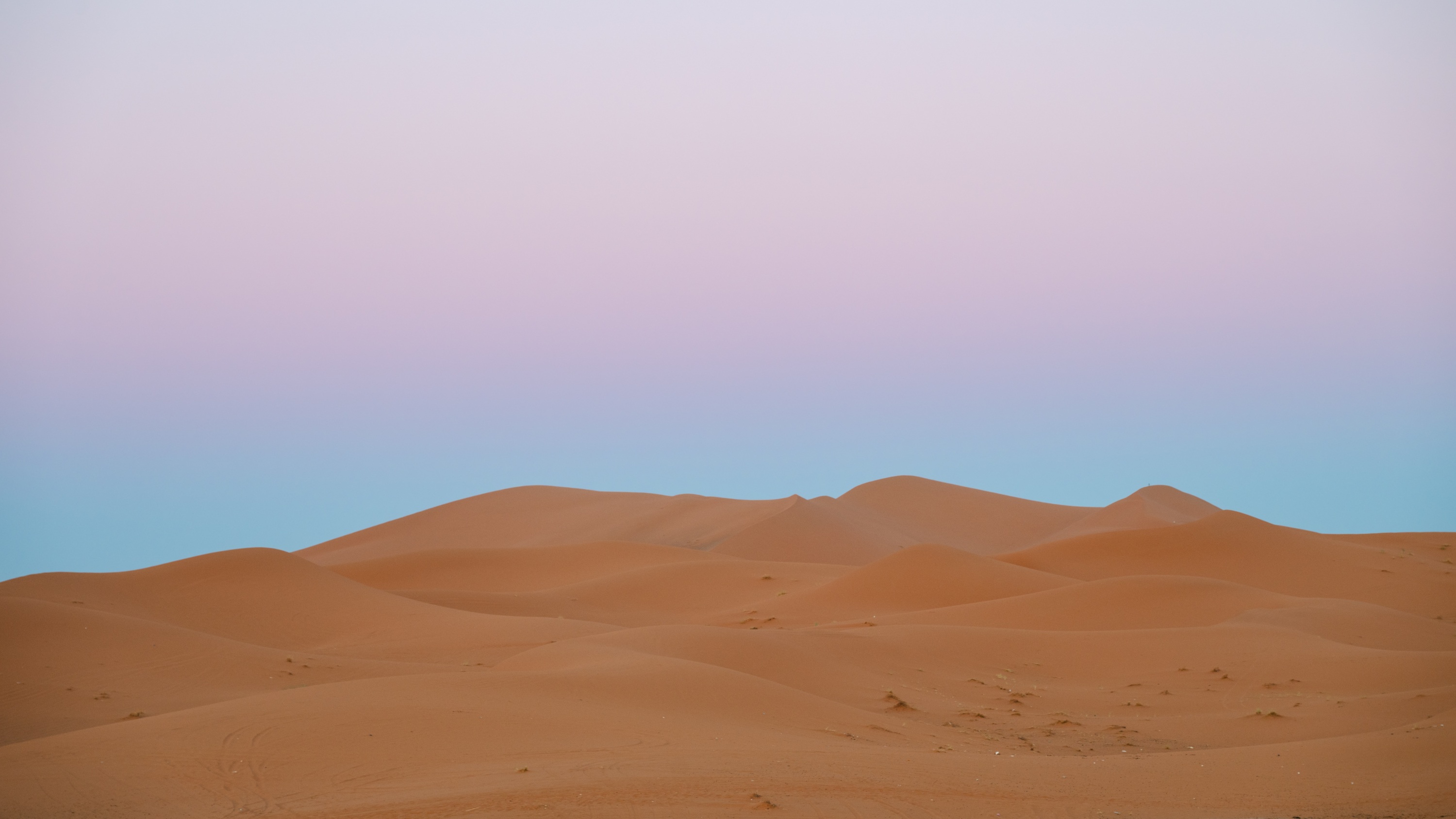 20231123_084328_Z8_1264
