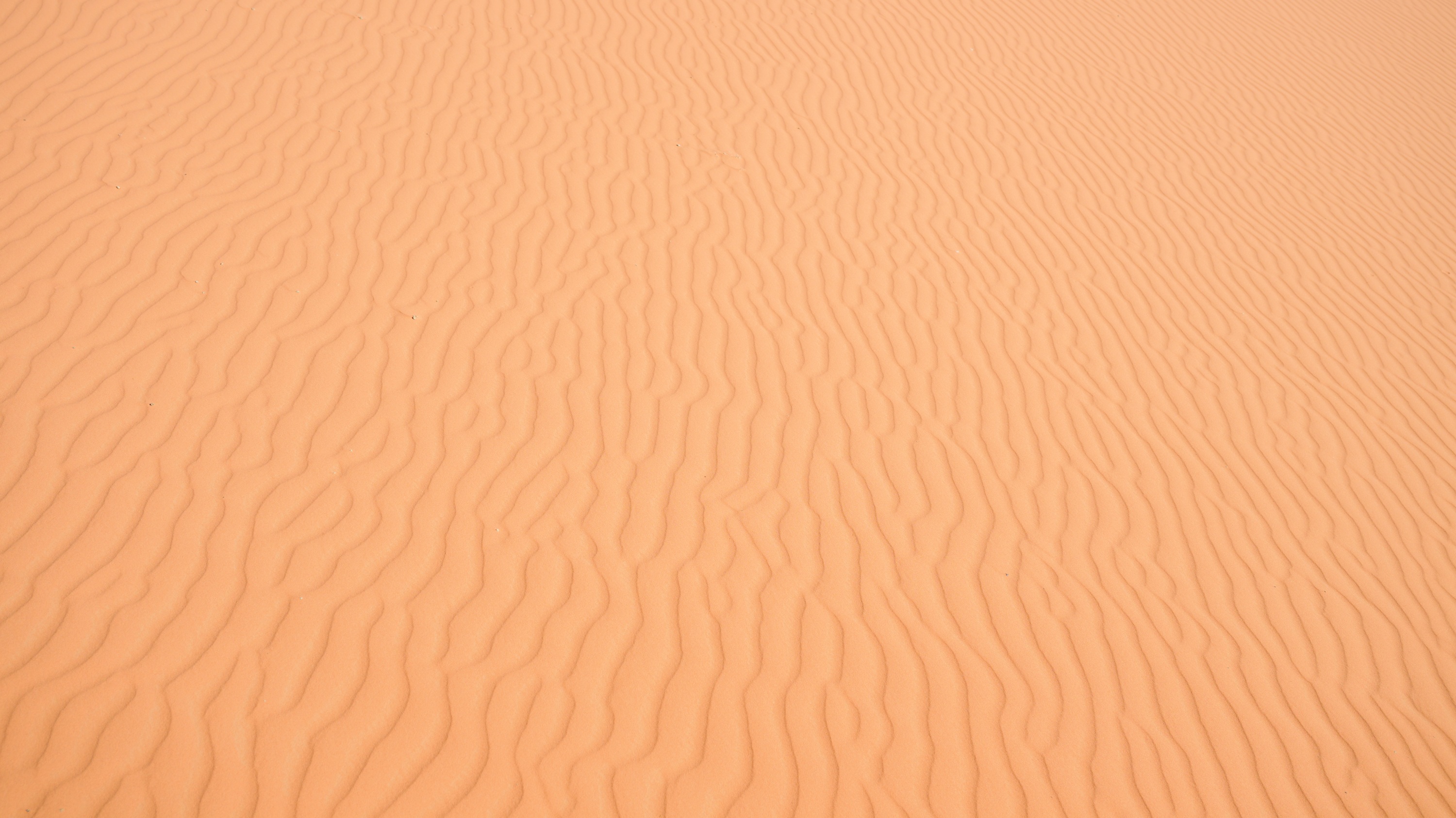 20231123_111103_Z8_2054